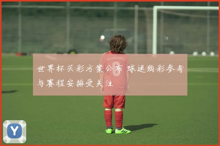 世界杯买彩方案公布 球迷购彩参考与赛程安排受关注
