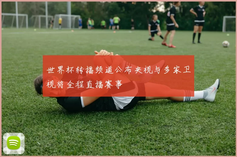 世界杯转播频道公布央视与多家卫视将全程直播赛事