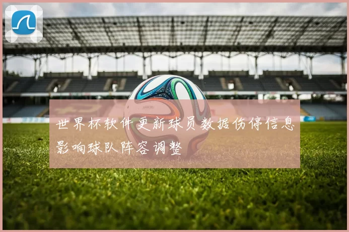 世界杯软件更新球员数据伤停信息影响球队阵容调整