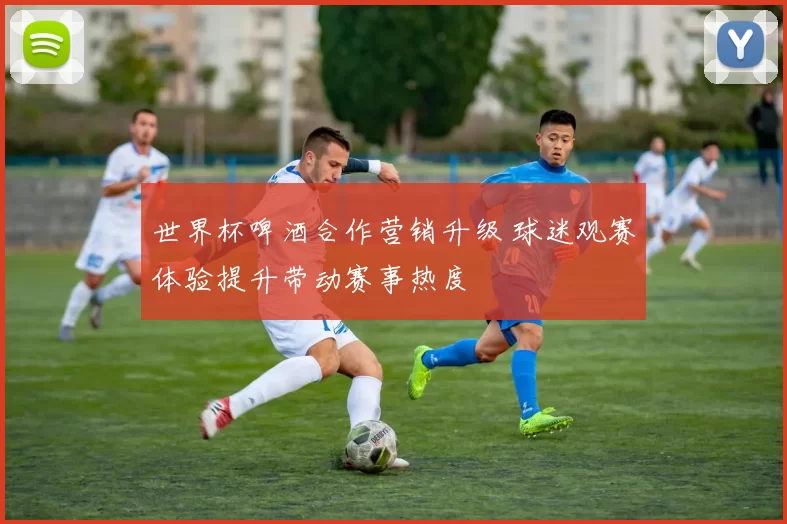 世界杯啤酒合作营销升级 球迷观赛体验提升带动赛事热度