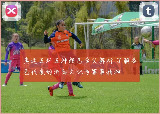 奥运五环五种颜色含义解析 了解各色代表的洲际文化与赛事精神