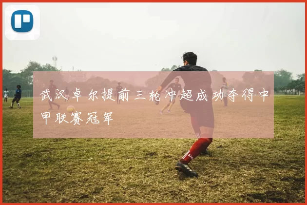 武汉卓尔提前三轮冲超成功夺得中甲联赛冠军